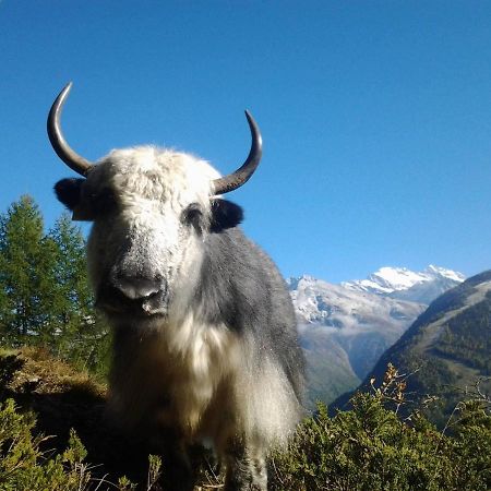 Bergbeiz Morgenrot B&B Embd Zewnętrze zdjęcie