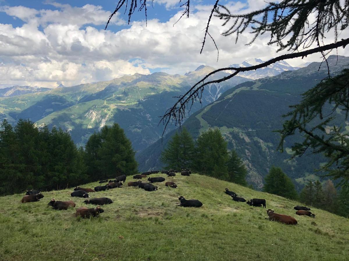 Bergbeiz Morgenrot B&B Embd Zewnętrze zdjęcie